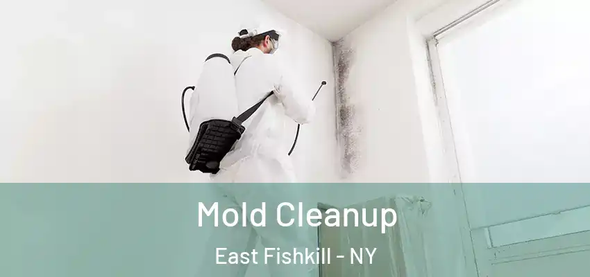 Mold Cleanup East Fishkill - NY
