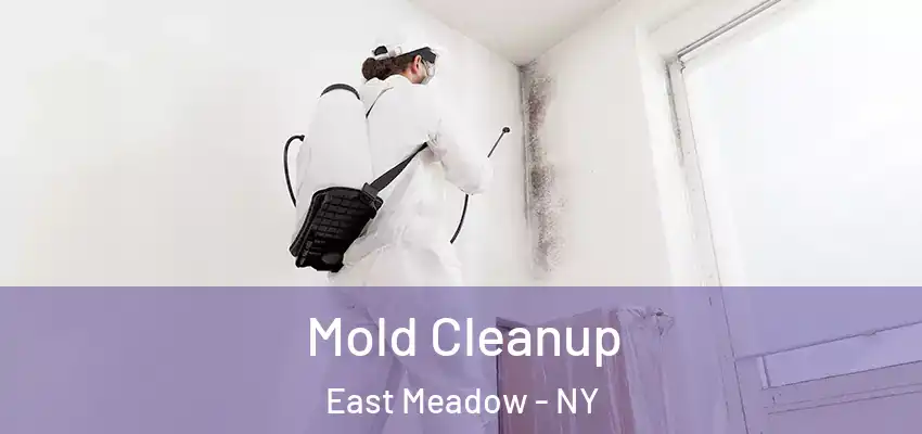  Mold Cleanup East Meadow - NY