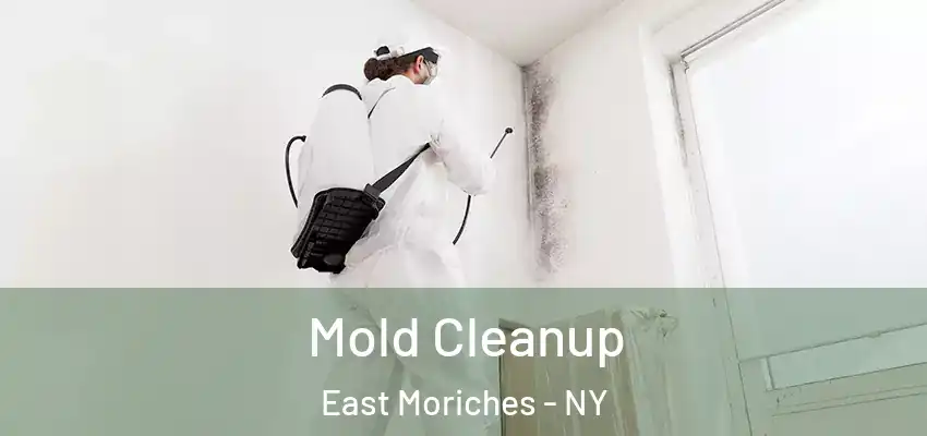  Mold Cleanup East Moriches - NY