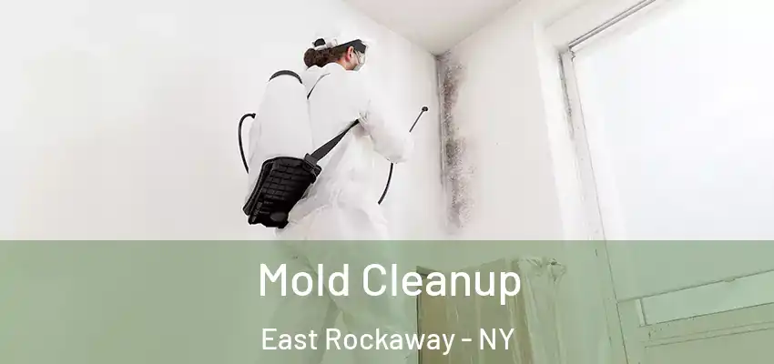  Mold Cleanup East Rockaway - NY