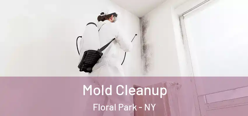  Mold Cleanup Floral Park - NY