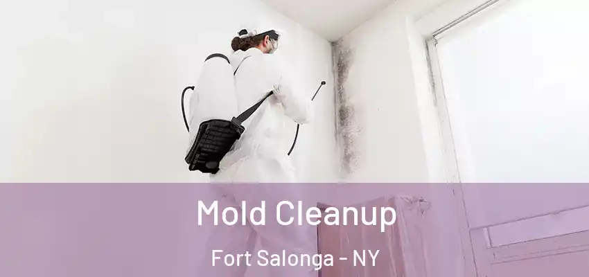 Mold Cleanup Fort Salonga - NY