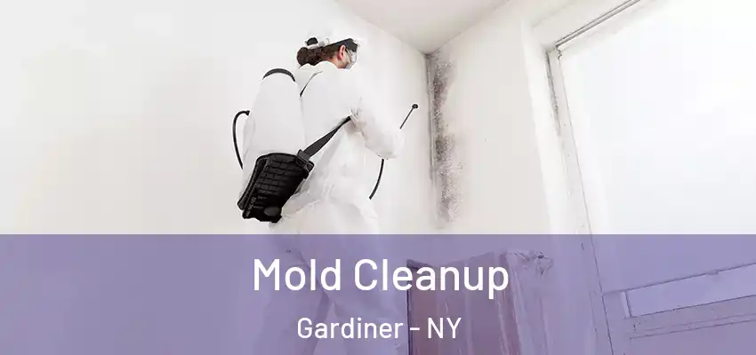 Mold Cleanup Gardiner - NY