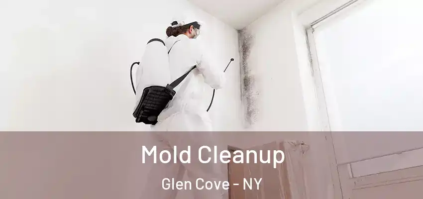 Mold Cleanup Glen Cove - NY