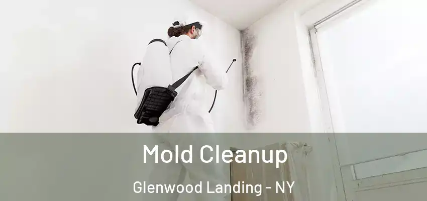  Mold Cleanup Glenwood Landing - NY
