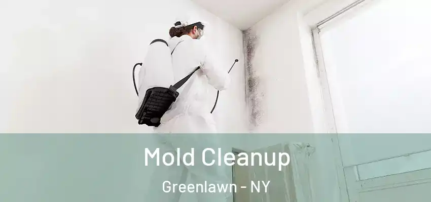 Mold Cleanup Greenlawn - NY