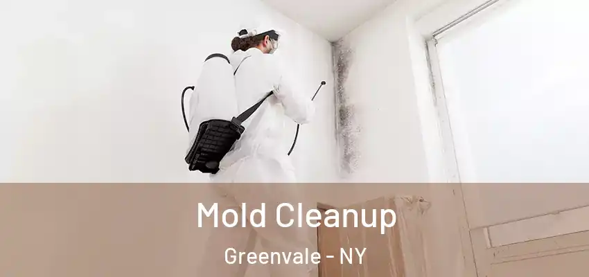  Mold Cleanup Greenvale - NY