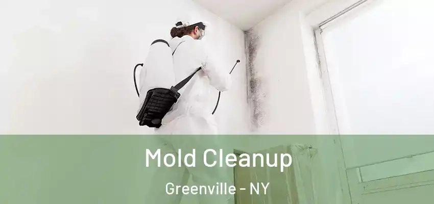 Mold Cleanup Greenville - NY