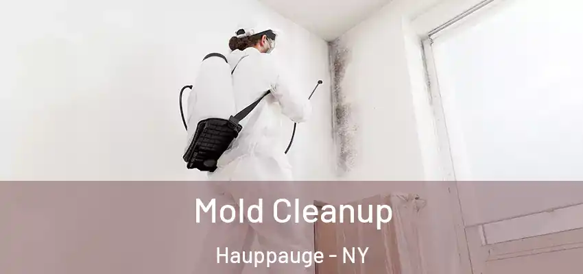 Mold Cleanup Hauppauge - NY