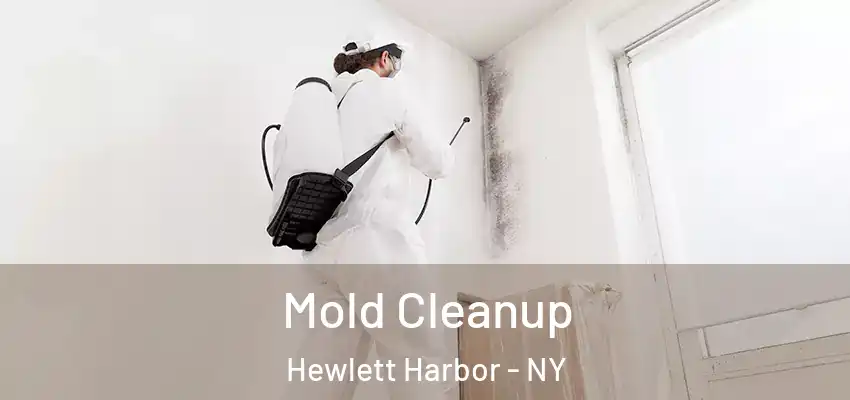 Mold Cleanup Hewlett Harbor - NY