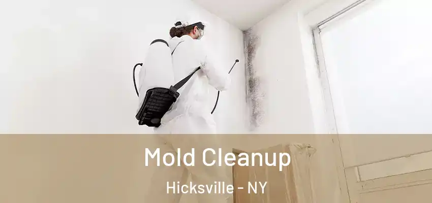Mold Cleanup Hicksville - NY