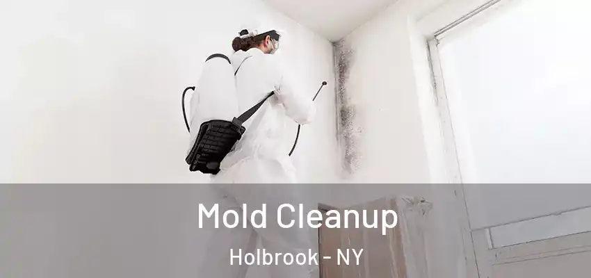  Mold Cleanup Holbrook - NY