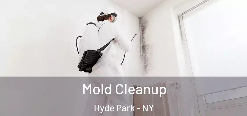  Mold Cleanup Hyde Park - NY