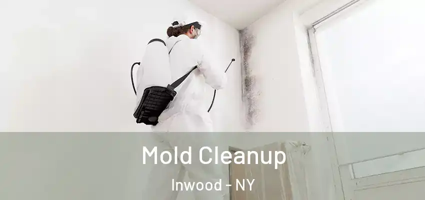 Mold Cleanup Inwood - NY