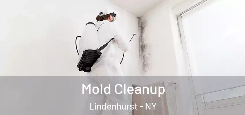  Mold Cleanup Lindenhurst - NY