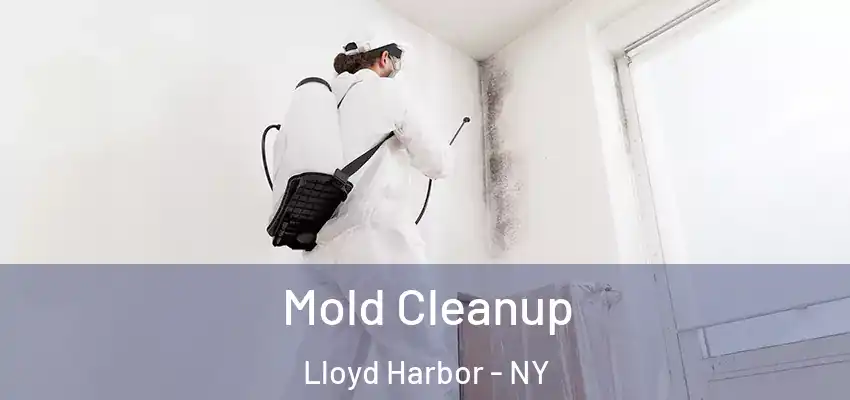 Mold Cleanup Lloyd Harbor - NY