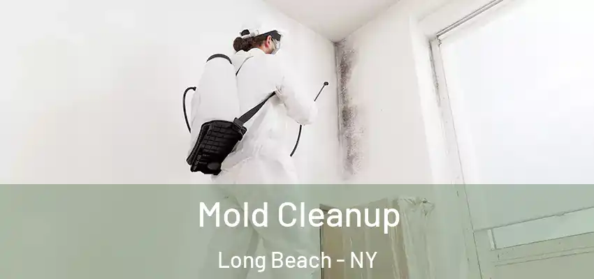  Mold Cleanup Long Beach - NY