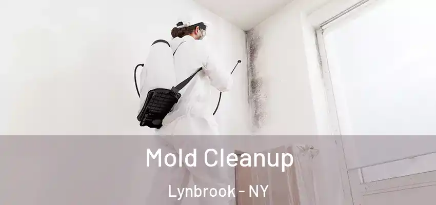 Mold Cleanup Lynbrook - NY