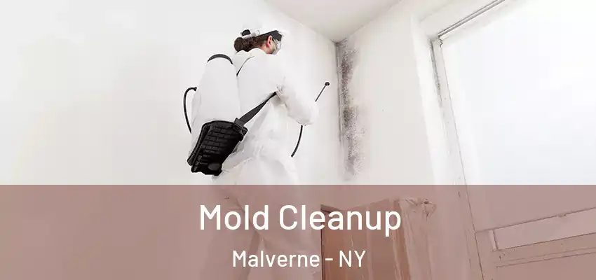  Mold Cleanup Malverne - NY