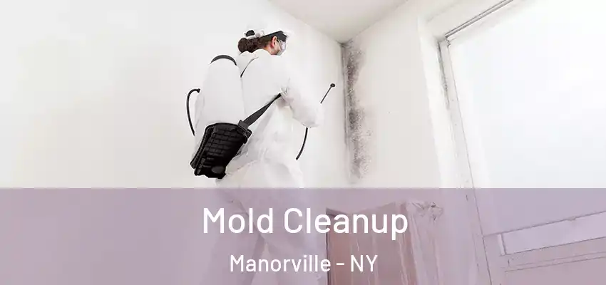  Mold Cleanup Manorville - NY