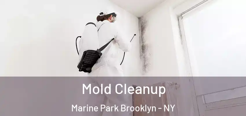 Mold Cleanup Marine Park Brooklyn - NY