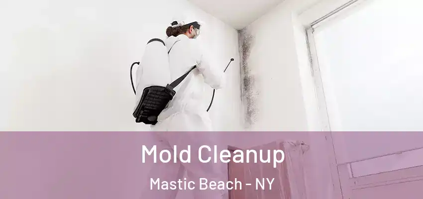  Mold Cleanup Mastic Beach - NY