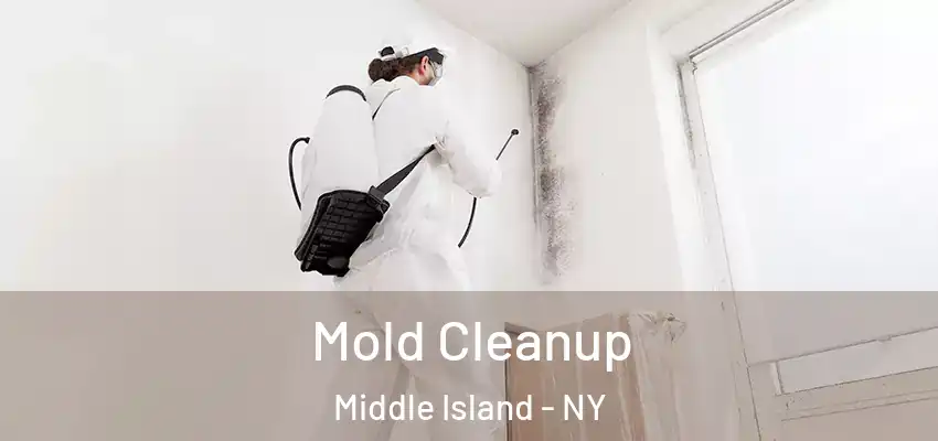 Mold Cleanup Middle Island - NY