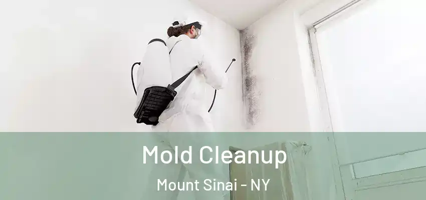  Mold Cleanup Mount Sinai - NY