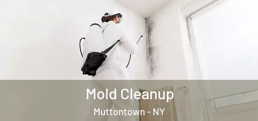  Mold Cleanup Muttontown - NY