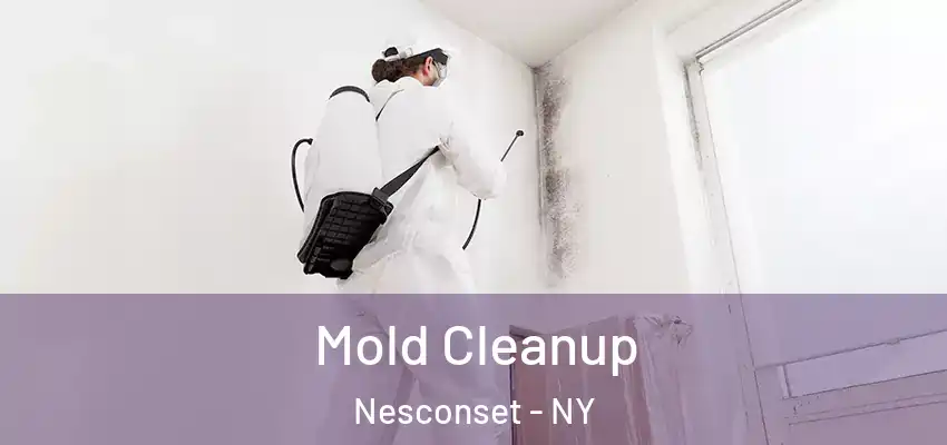 Mold Cleanup Nesconset - NY