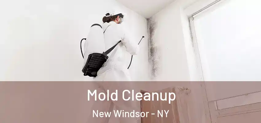 Mold Cleanup New Windsor - NY