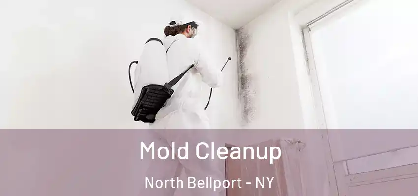  Mold Cleanup North Bellport - NY