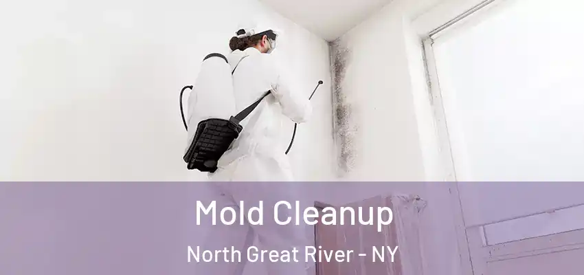Mold Cleanup North Great River - NY