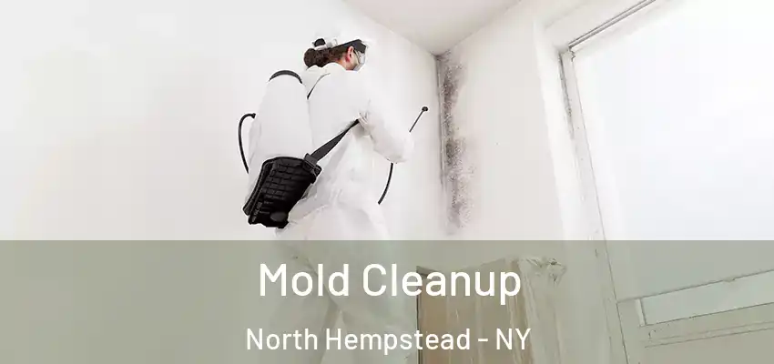 Mold Cleanup North Hempstead - NY