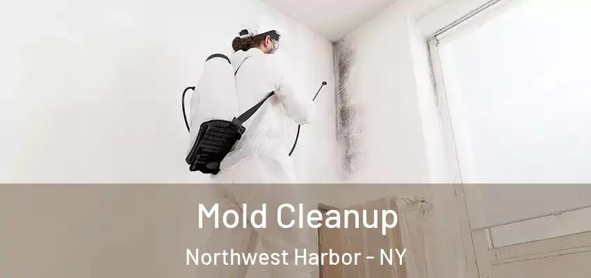 Mold Cleanup Northwest Harbor - NY
