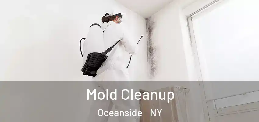 Mold Cleanup Oceanside - NY