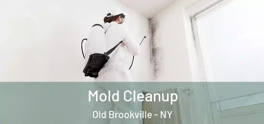 Mold Cleanup Old Brookville - NY