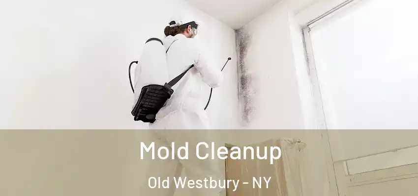  Mold Cleanup Old Westbury - NY