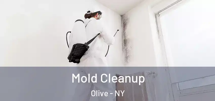  Mold Cleanup Olive - NY