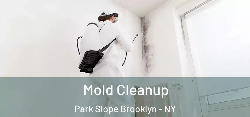  Mold Cleanup Park Slope Brooklyn - NY