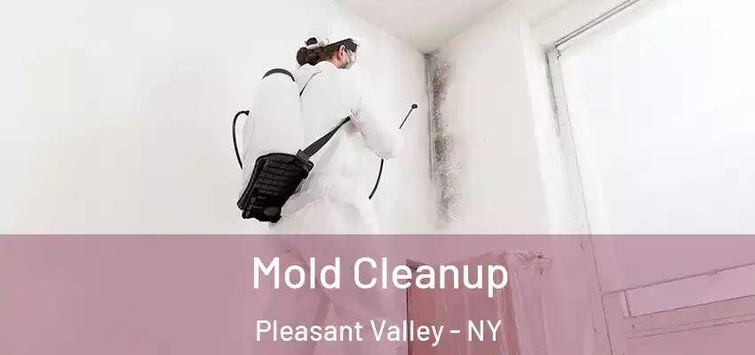 Mold Cleanup Pleasant Valley - NY