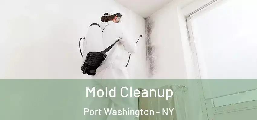  Mold Cleanup Port Washington - NY