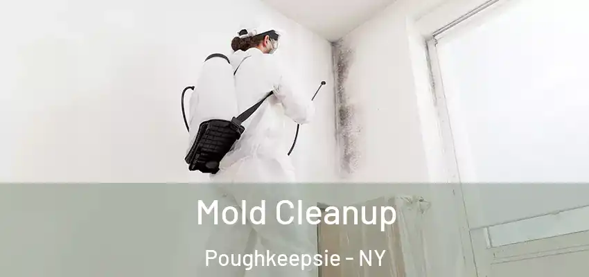 Mold Cleanup Poughkeepsie - NY