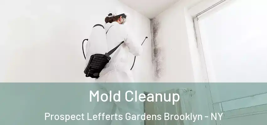  Mold Cleanup Prospect Lefferts Gardens Brooklyn - NY