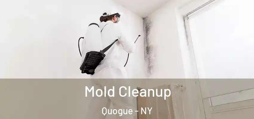 Mold Cleanup Quogue - NY