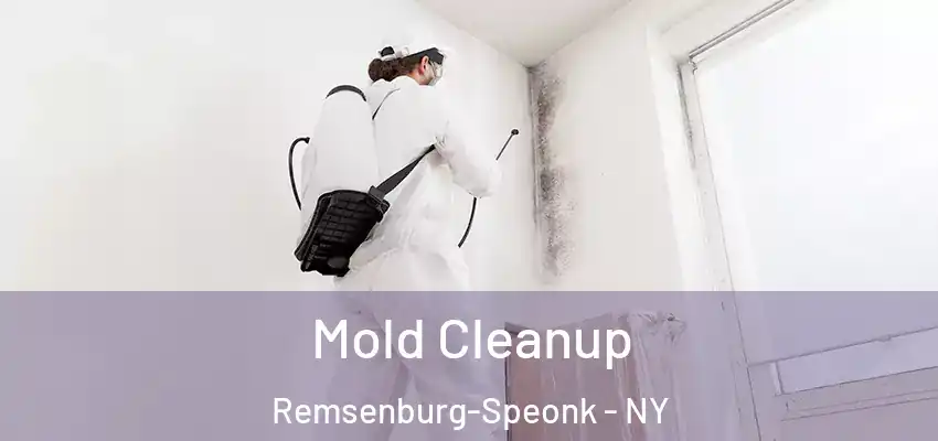  Mold Cleanup Remsenburg-Speonk - NY