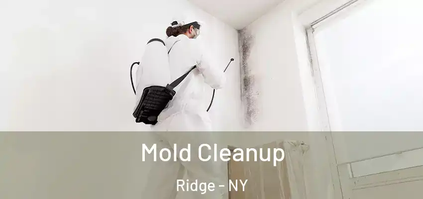  Mold Cleanup Ridge - NY