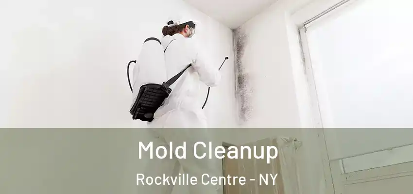  Mold Cleanup Rockville Centre - NY