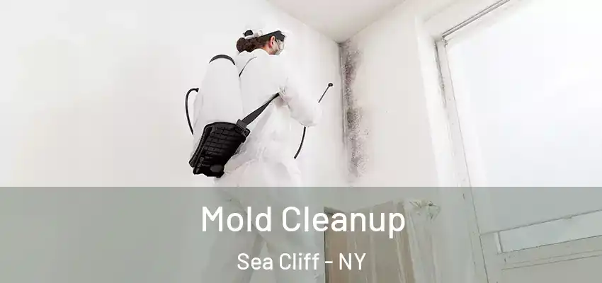Mold Cleanup Sea Cliff - NY
