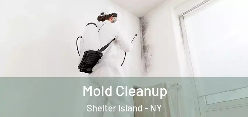  Mold Cleanup Shelter Island - NY